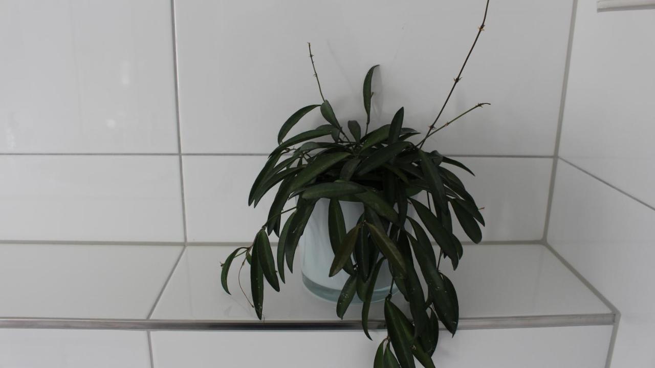 Appartement Maria เอค ภายนอก รูปภาพ